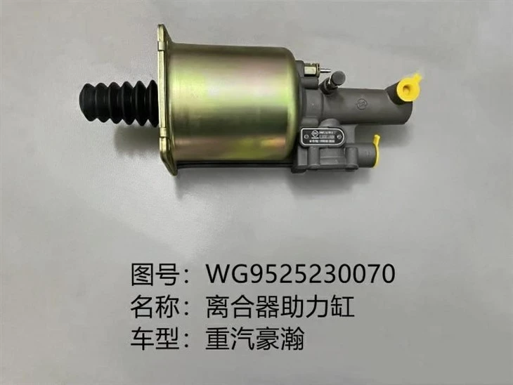 Brake Booster Pump WG9525230070 factory