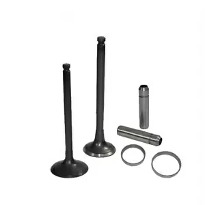 Exhaust Valve 8148574 1547490 20441945 suppliers