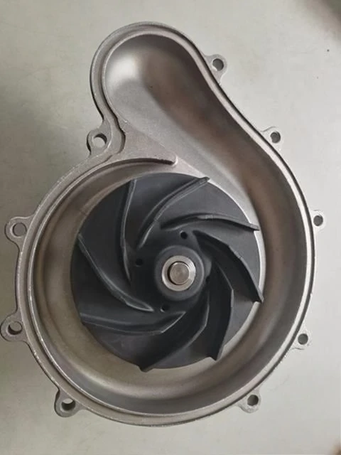 Foton Cummins Water Pump 3698067/3698688 high quality