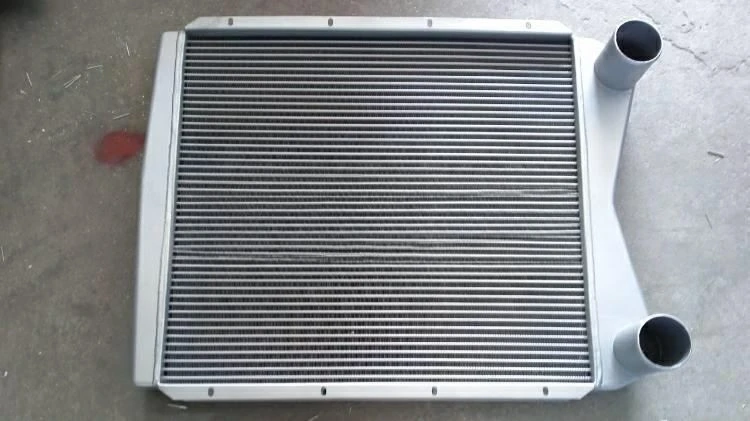 Intake Air Cooler Assembly WG9725538060