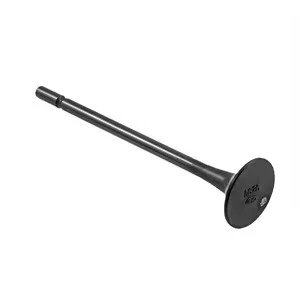 Exhaust Valve 8148574 1547490 20441945