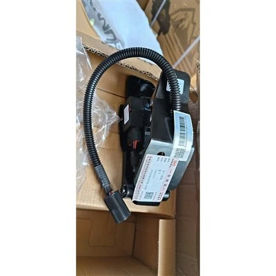 ACCELERATOR PEDAL W21006.07701.01W