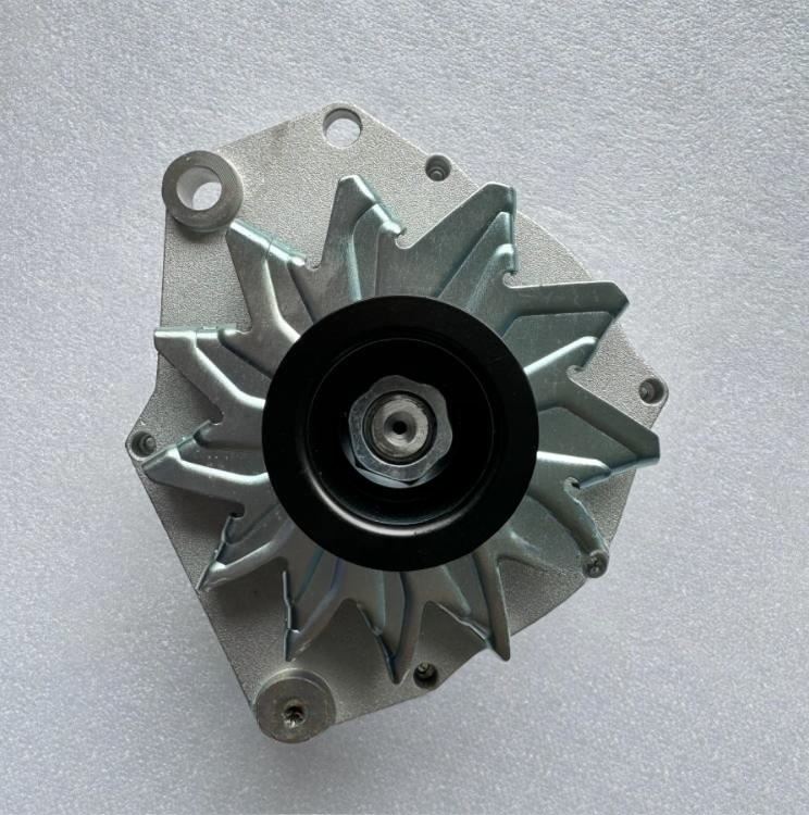 Weichai WP10 Engine Generator 1001828445 best