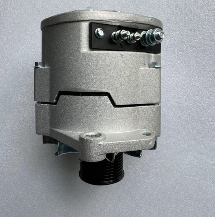 Weichai WP10 Engine Generator 1001828445 factory